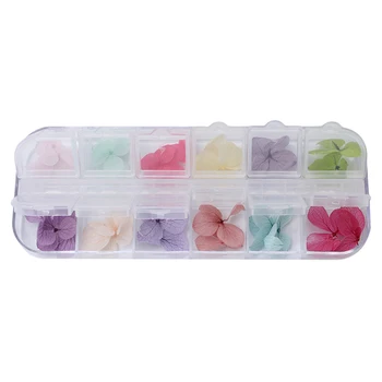 

DIY Nail Flower Pressed Dried Decoration Dry Plants For Epoxy Resin Nail Sticker Jewelry Making Craft Nail Accessories