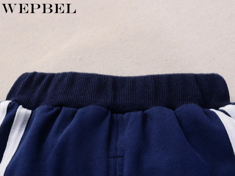WEPBEL Весна для малыша; на каждый день спортивный костюм детские хлопковые носки для мальчиков и девочек, куртка на молнии и брюки 2 шт./компл. детский спортивный костюм для малышей, Костюмы