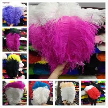

"Thick Stem" Male Ostrich Feathers Double Color 24-26inch/60-65cm Ostrich Feathers Plumes for Party Home Wedding Decorations