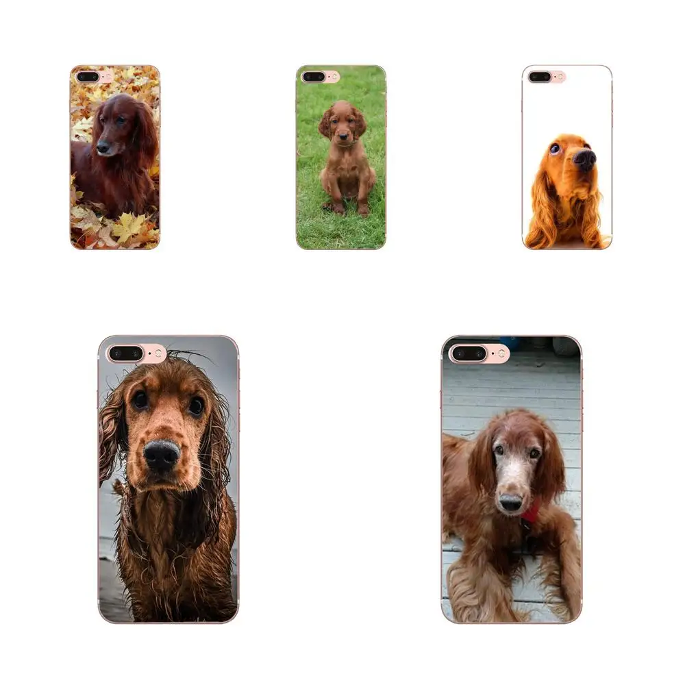 Cute Irish Setter Dog Puppy Pets For Samsung Galaxy A10 A20 A30 30S A40 A50 A50S A60 A70 A70S A80 A20E A51 A71 A9 2018 | Мобильные