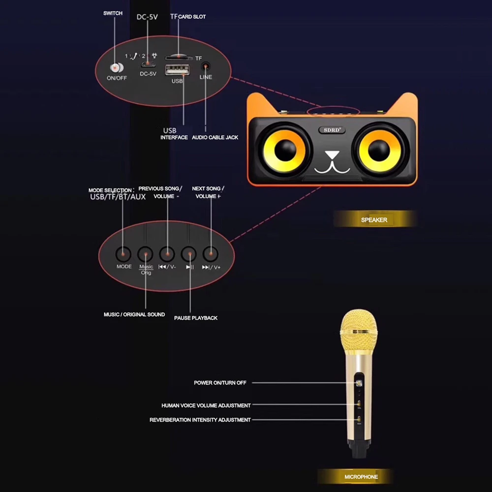 SDRD 305 портативная семейная система караоке двойные беспроводные микрофоны конденсаторный беспроводной караоке стерео микрофон Bluetooth динамик