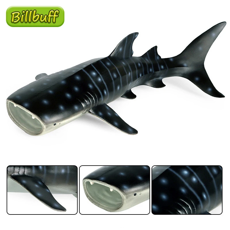 32センチメートルdiyシミュレーション海洋動物absクジラサメモデルフィギュアコレクション認知教育玩具子供のためのクリスマスギフト Null Aliexpress