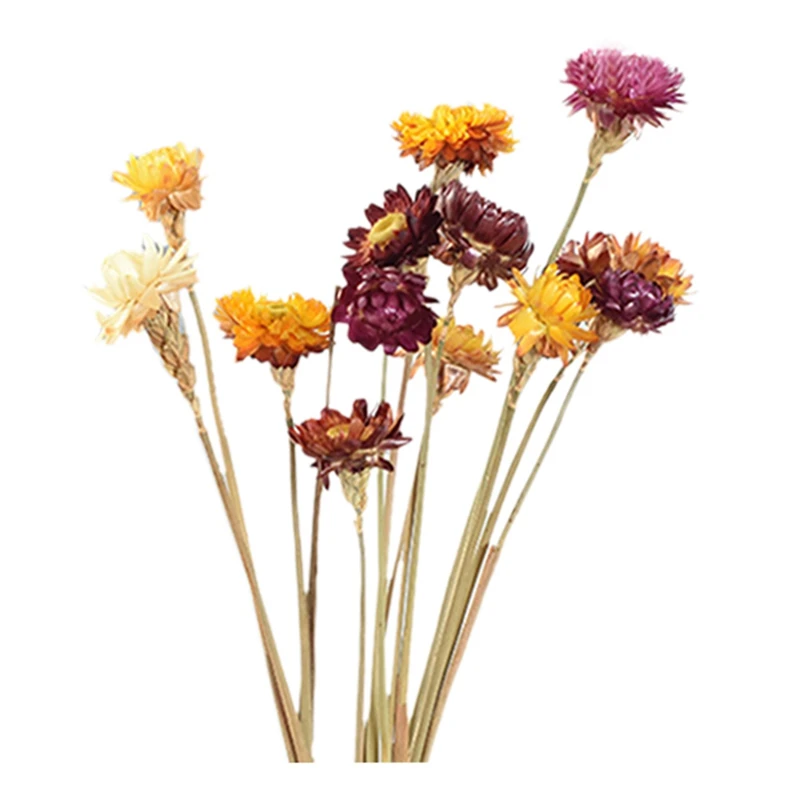 

Promotion! 20Pcs Dried Flower Daisy Natural Artificial Flower Colorful Chrysanthemum Ornament Garden Straw Stalk Wedding Party H
