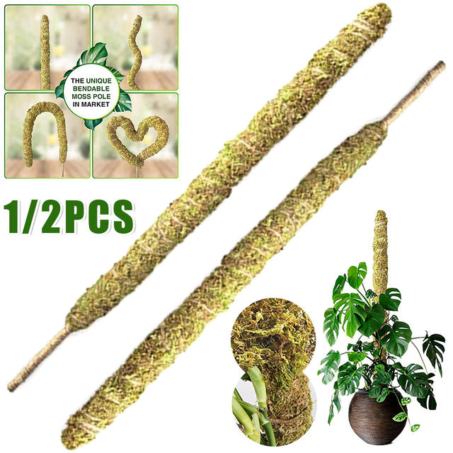 25.59inch Plant Climbing Pole Natural Moss Pole Bendable Safe Moss