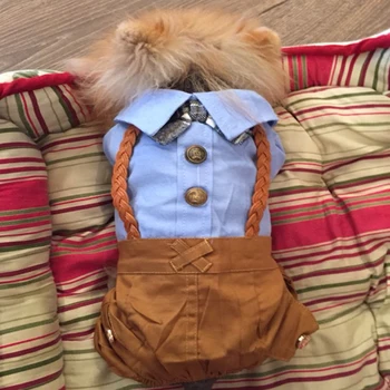 

Cool Dog Clothes Bow Dog Jumpsuit Romper Spring Pet Coat Jacket Wedding Pet Costume Chihuahua Clothing for Small Dogs 30