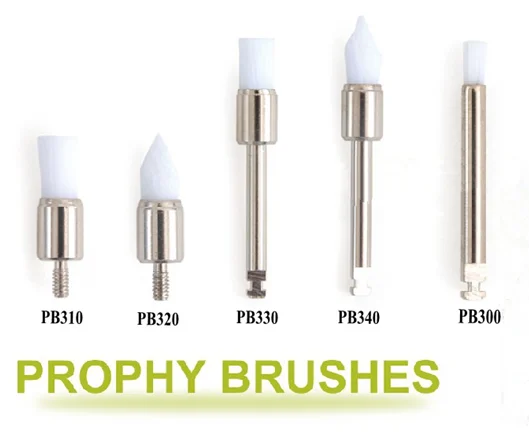 

500pcs Dental Disposable dental prophy brush tapered/Flat brushes