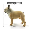 Bulldog- h