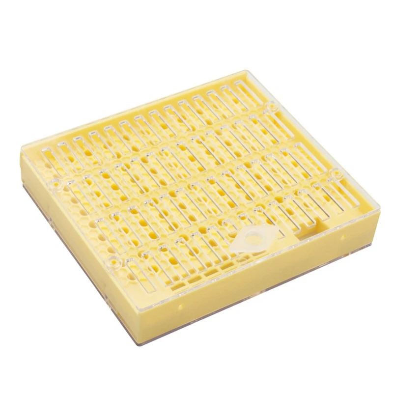 

10 Pcs Plastic Bee Queen Box Queen Rearing Box Cultivate Queen Bee Tool Beekeeping Tool Plastic Durable Does Not Harm Queen Bee