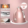 2000W Upright & Handheld Garment Steamer 1.8L Fabric Clothing Ironing Machine Wrinkle Remover 10 Gear Adjustable With Ironing ► Photo 3/6