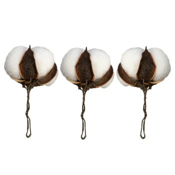 

28Pcs Natural White Cotton Ball Farm Style Dried Flower DIY Flower Furniture Home Dining Table Vase Wedding Decoration