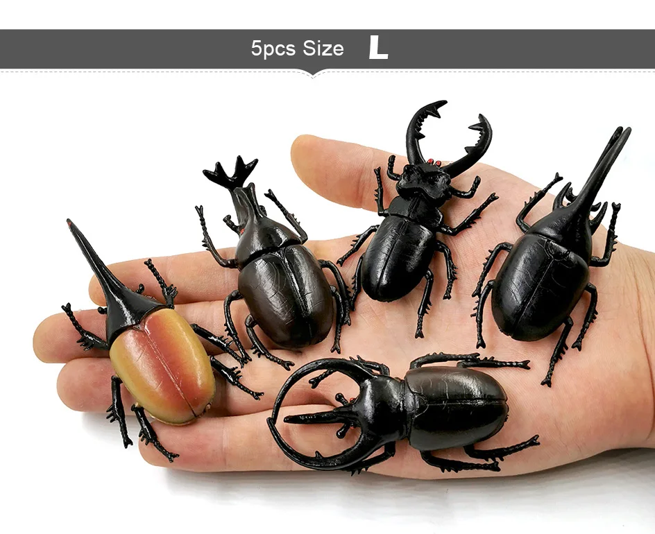 详情页-4款-昆虫甲虫等_07