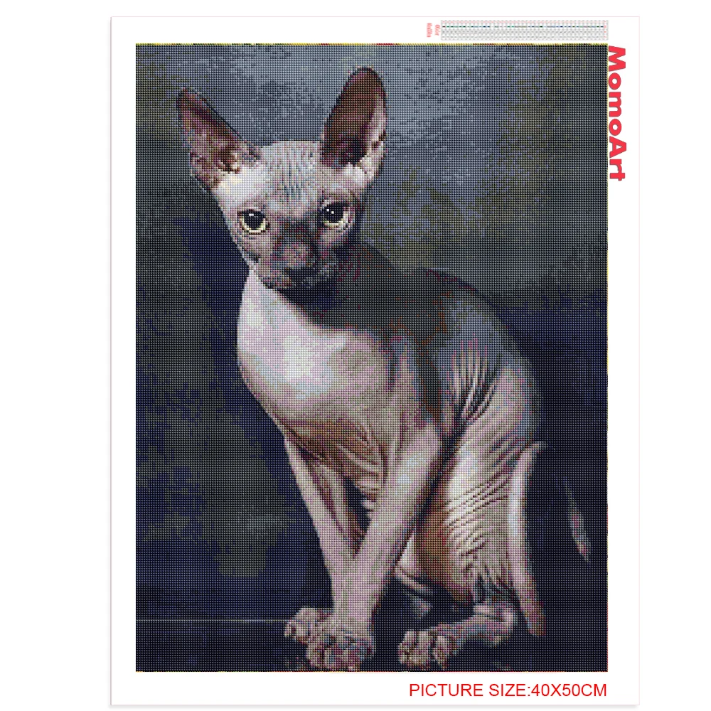 Momoart Peinture Diamant Theme Sphynx Broderie 5d Art Strass Chat Animal Mosaique Decoration De Maison A Faire Soi Meme Aliexpress