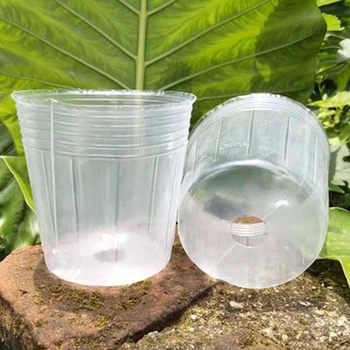 

50PCS Transparent Seedling Cup Succulent Orchid Transparent Pot Nutrition Bag Seedling Cup Nutrition Bowl Flower Pot
