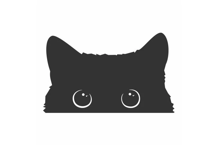 should i buy a cat u car