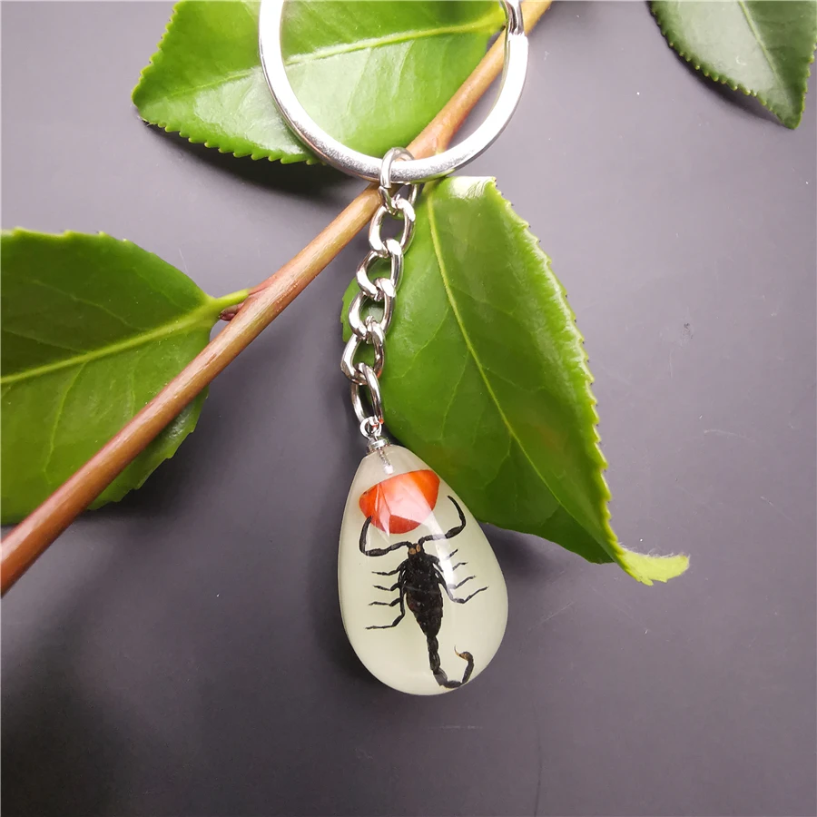 10pcs Scorpion Crab Keychain Glow in the Dark Real Insect Keychain Beetle Keychains for MenKey Ring Specimens Collecting Trinket