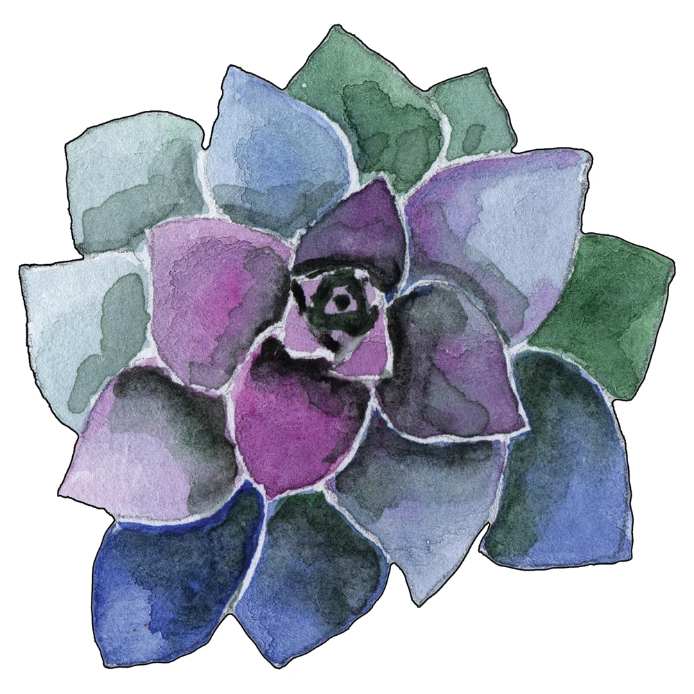 Рисунок 6 - Новинка, красочные цветы