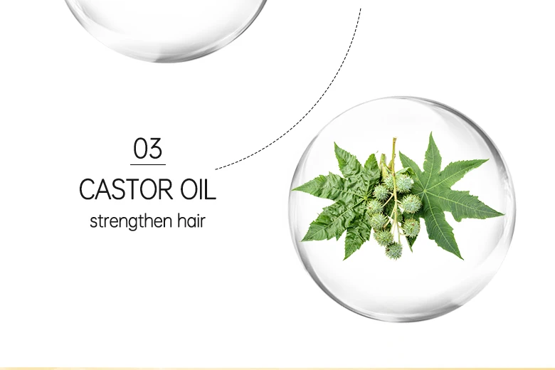 Hairinque Vitamin B7 Hair Growth Oil Prevent Hair Loss Serum Scalp