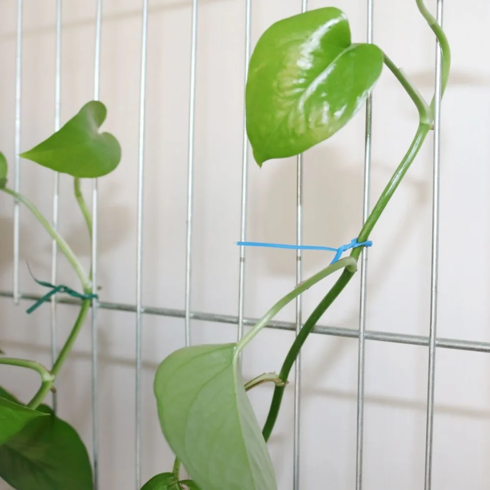 QQ图片20190906175308