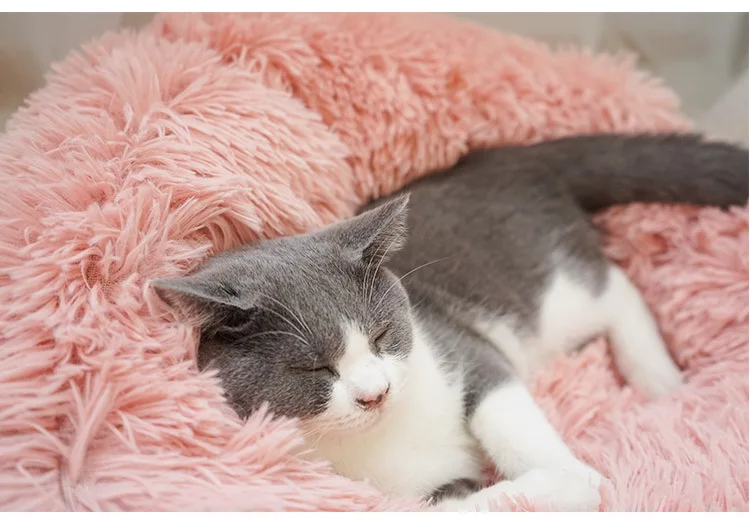 11399597955_55501388