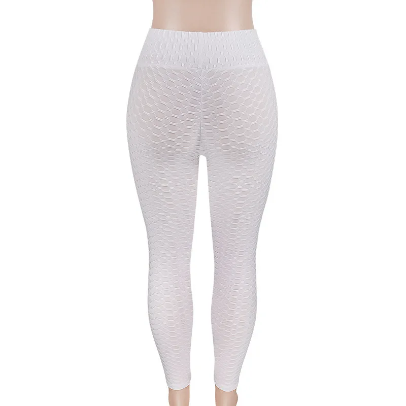 9037809873_1628540031