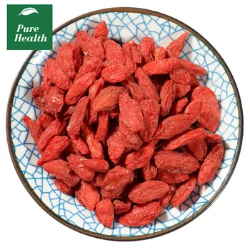

Wolfberry Fruit (Gou Qi Zi) Fructus Lycii