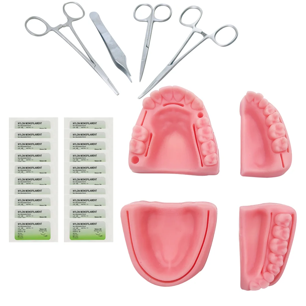 Suture-Training-Kit Practice Dentist Teeth-Gum of And Oral Human-Skin Common-Types Artificial