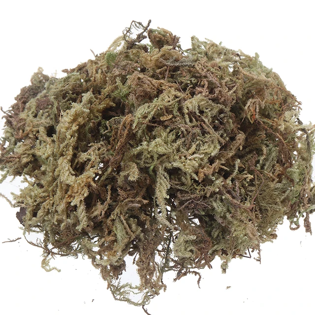 Természetes, Száraz Szerves Anyag Terrárium Sphagnum Moha Orchideák Cserepes Növények Dekorációja Diy Talajmentes Kertészkedés - Image 2