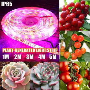 

LED Light Strip LED Strip Light Strip Eco-Friendly Energy Saving High Brightness 1-5M 5050 Full Spectrum Hydroponic Vegetables