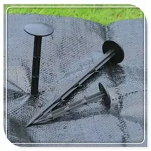 [Напрямую от производителя] 1 м-6 м широкий черный и белый с рисунком солнцезащитный анти-старения садоводства водоросли барьер Mult