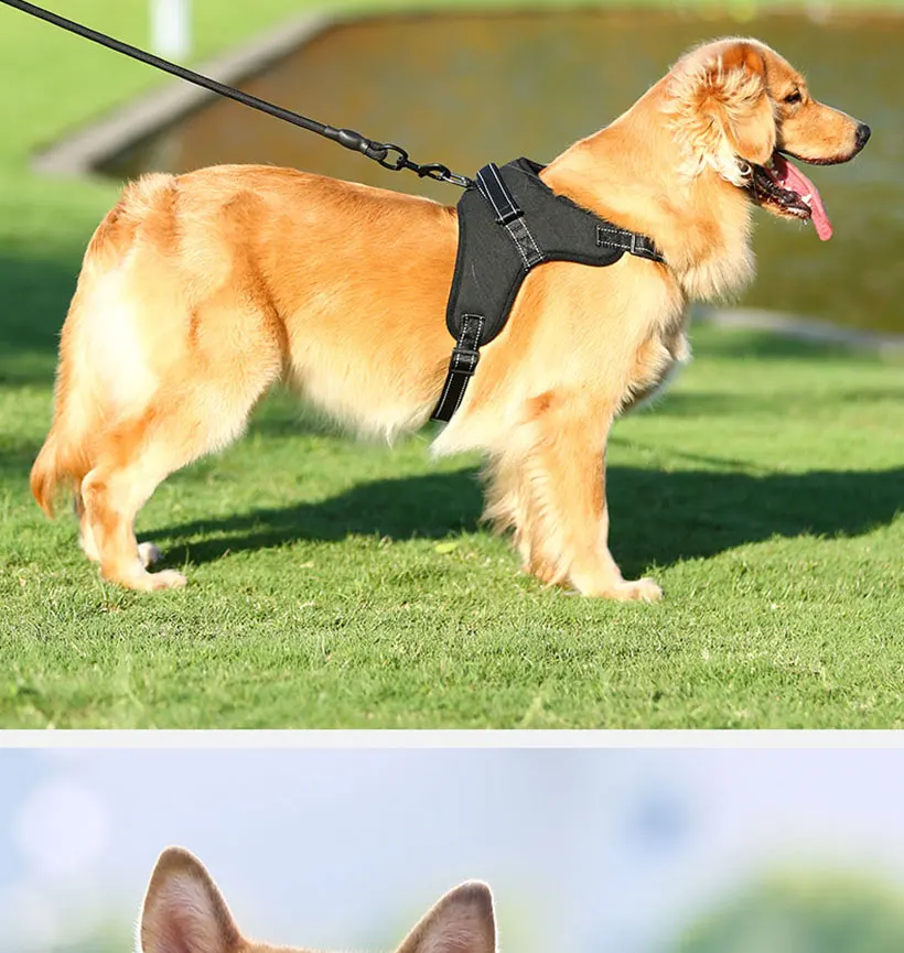 Soft and Adjustable Dog Vest Harness