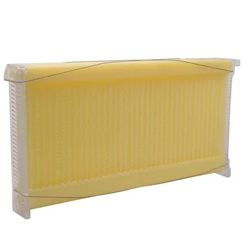 

Single 1pcs Beehive Automatic Honey Beehive Frames Food Grade Plastic beehive frame Beekeeping Tool