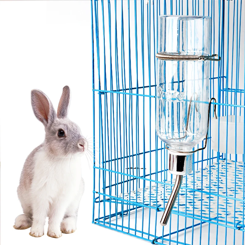 Parakeet - Distributeur D'eau Automatique Pour... - Grandado