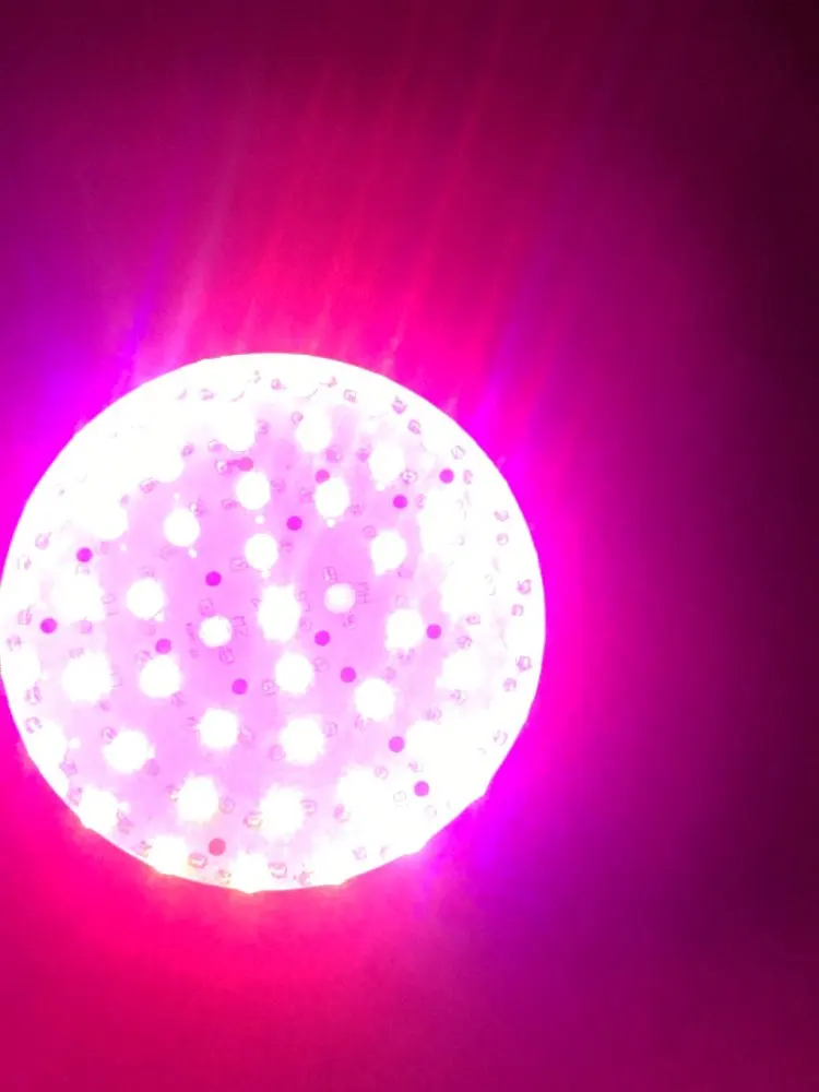 U4e947cd01a5a4be88b702d2813508658F