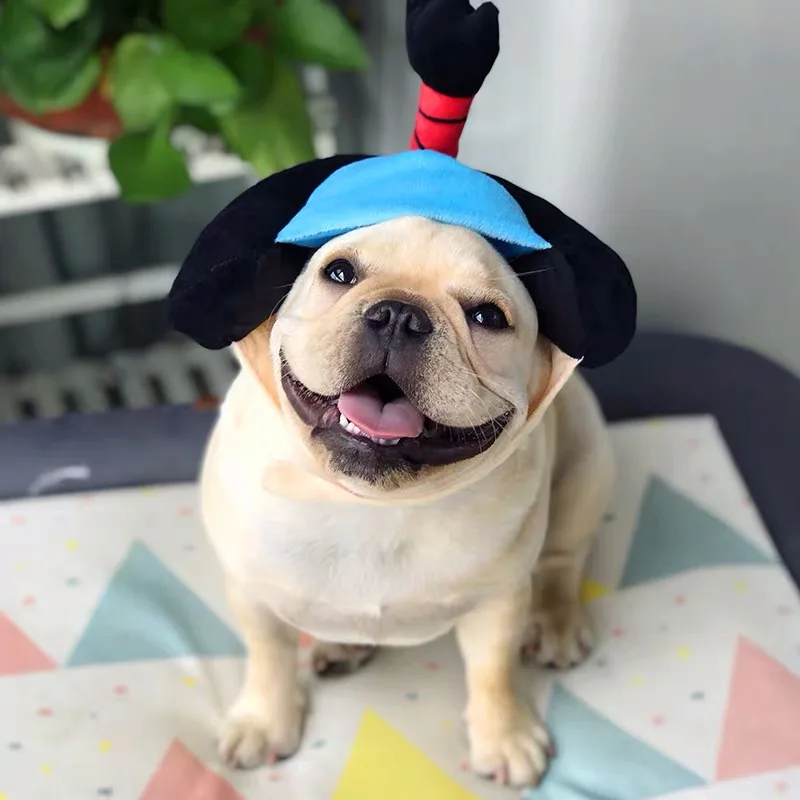Милый Французский бульдог Шиба ину японский дизайн кошка собака смешная шапка