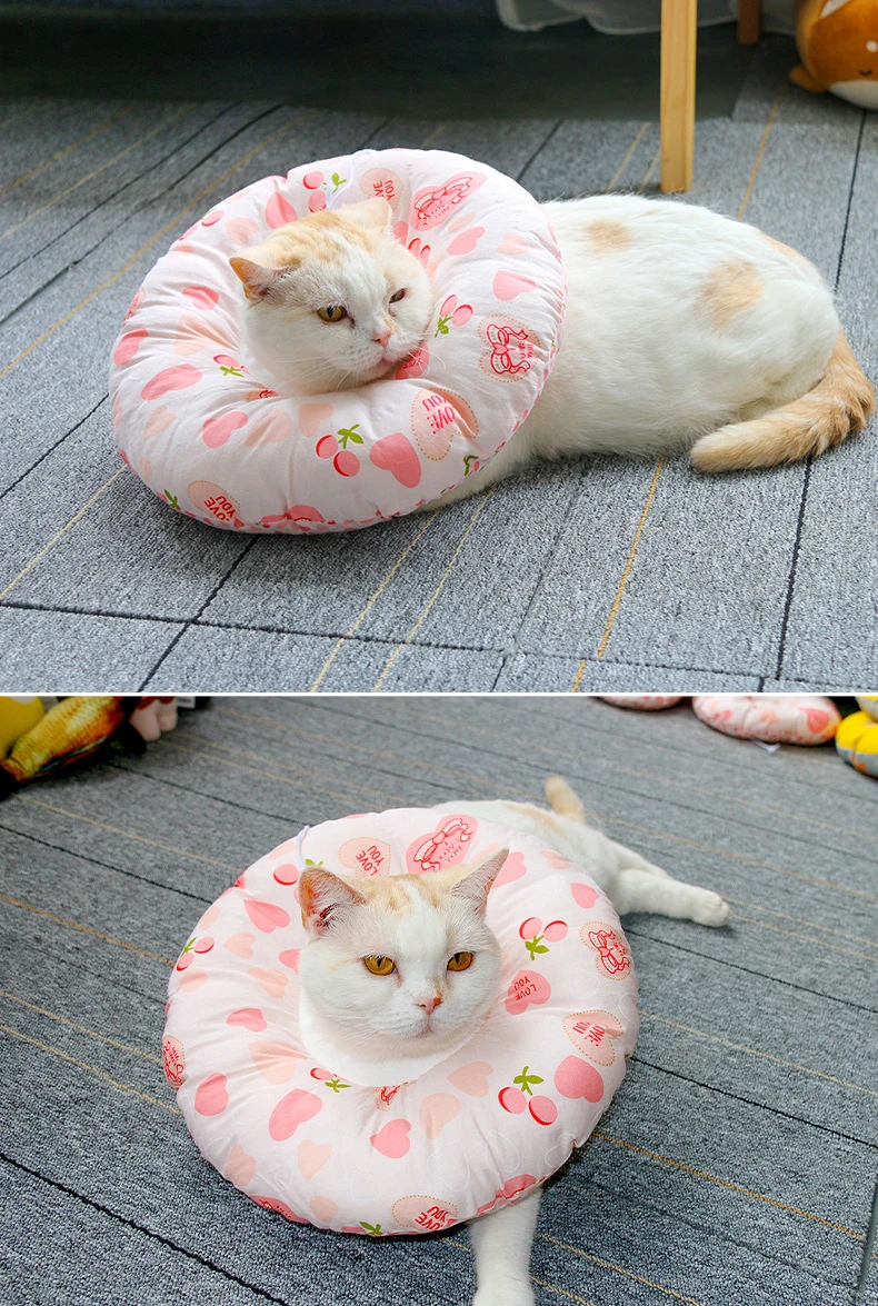 10969412669_1088394235