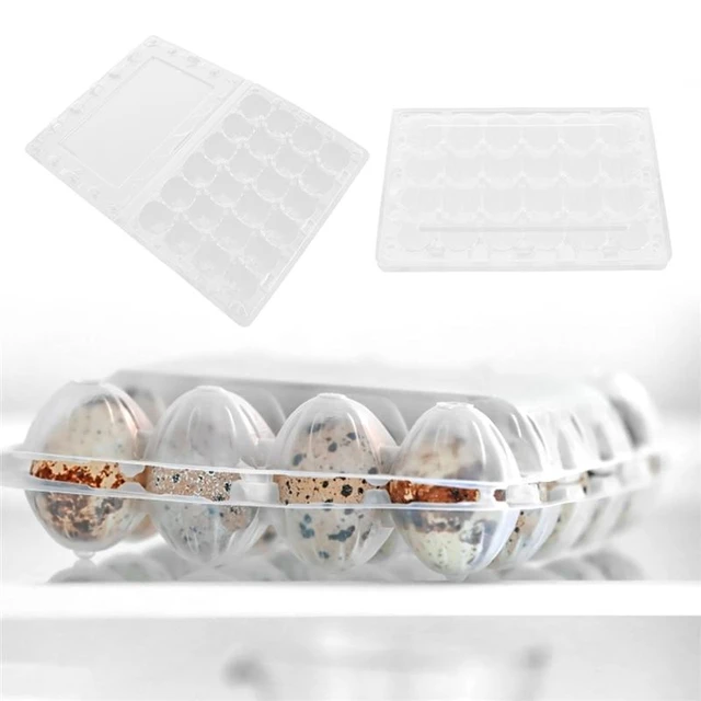 24Pcs Plastic Egg Cartons Clear Chicken Egg Tray Holder for Family