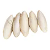 2022 New 1Pack Cuttlebone Cuttlefish Sepia Bone Cuttle Fish Bird Food Calcium Pickstone Parrot Birds Teeth Grind Training ► Photo 3/4