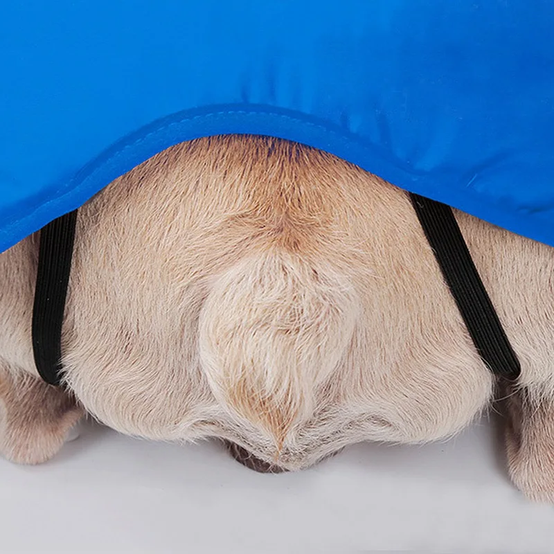 Winter Dog Vest Windproof Pet Down for Chihuahua Teddy Warm Puppy Clothing Reflective Strip Dog Coat Comfort Pet Clothes