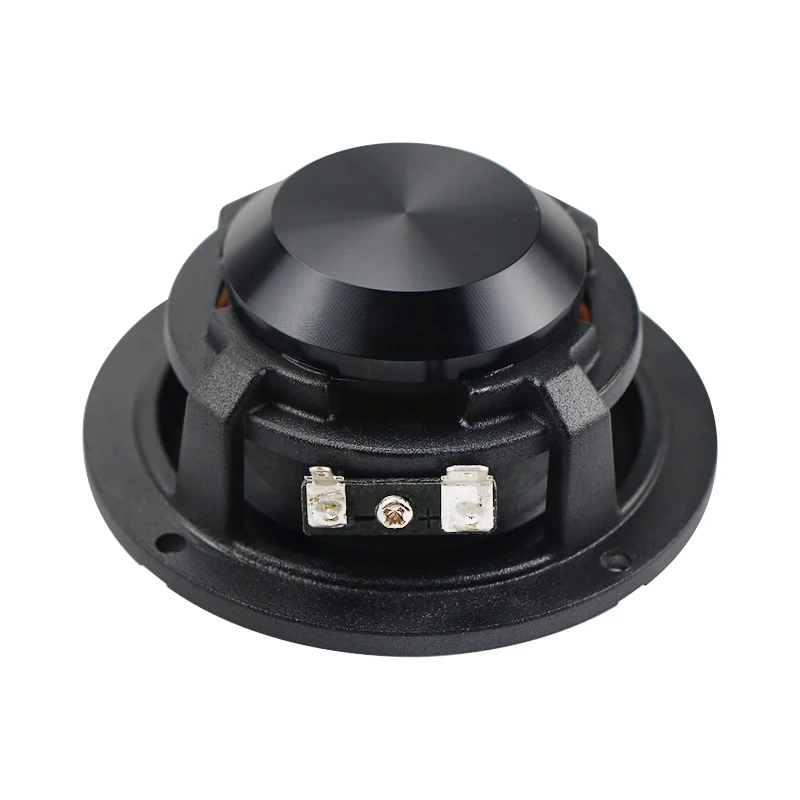 Professional Bluetooth Karaoke Speaker With