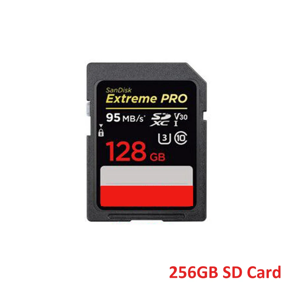 

256GB SD Card