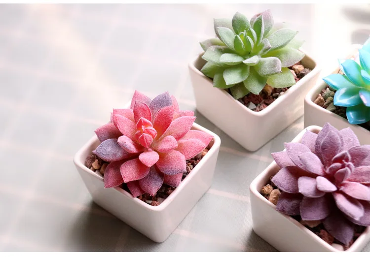 11036759052_182847313