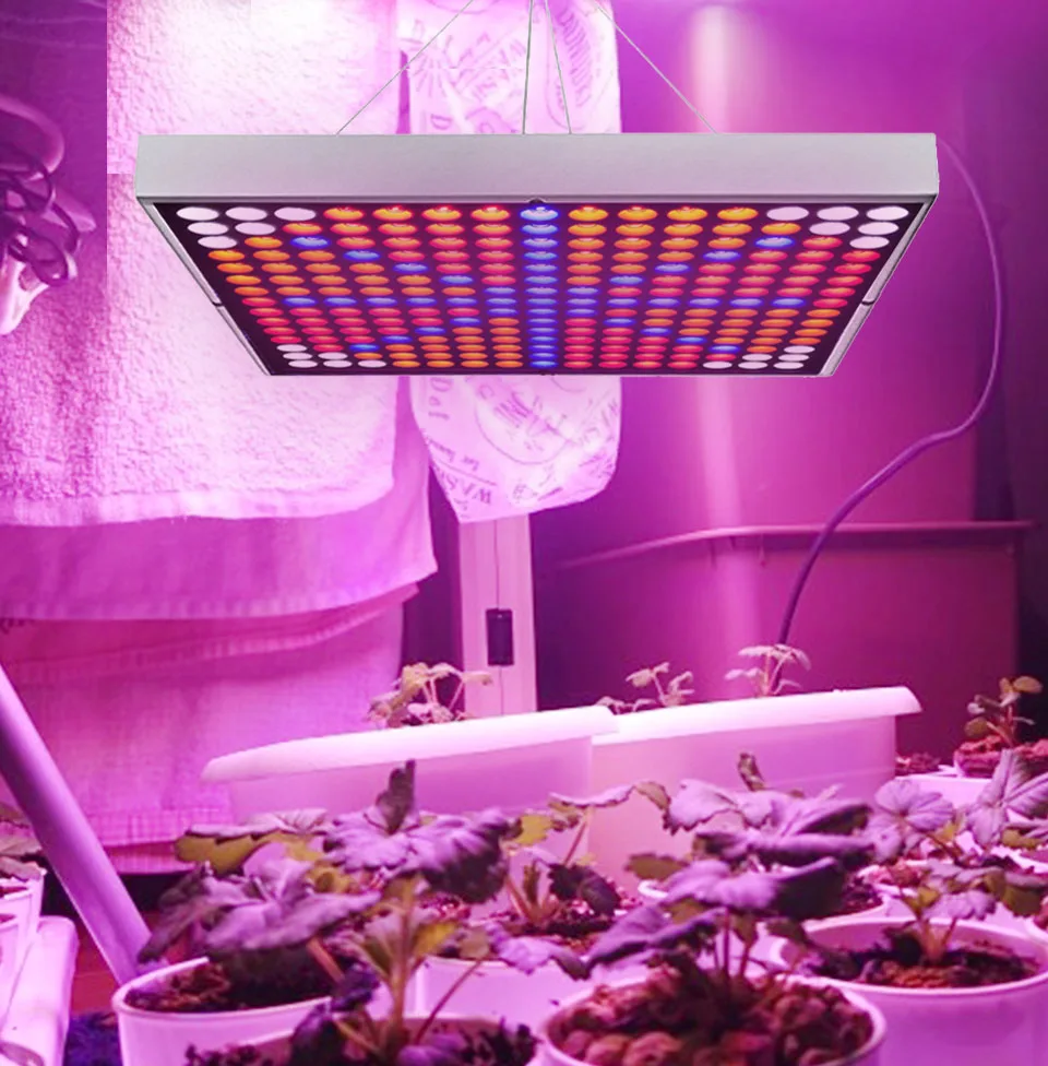 Indoor Lighting 1000W Led Grow Light Phytolamp For Plants Grow Lights Phyto Lamp Full Spectrum Lamp For Plant Tent Seedlings Led (1)