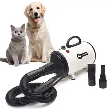 

Pet Water Blower Dog Hair Dryer High Power Mute Large Dog Cat Special Dry Blowing Hair Artifact