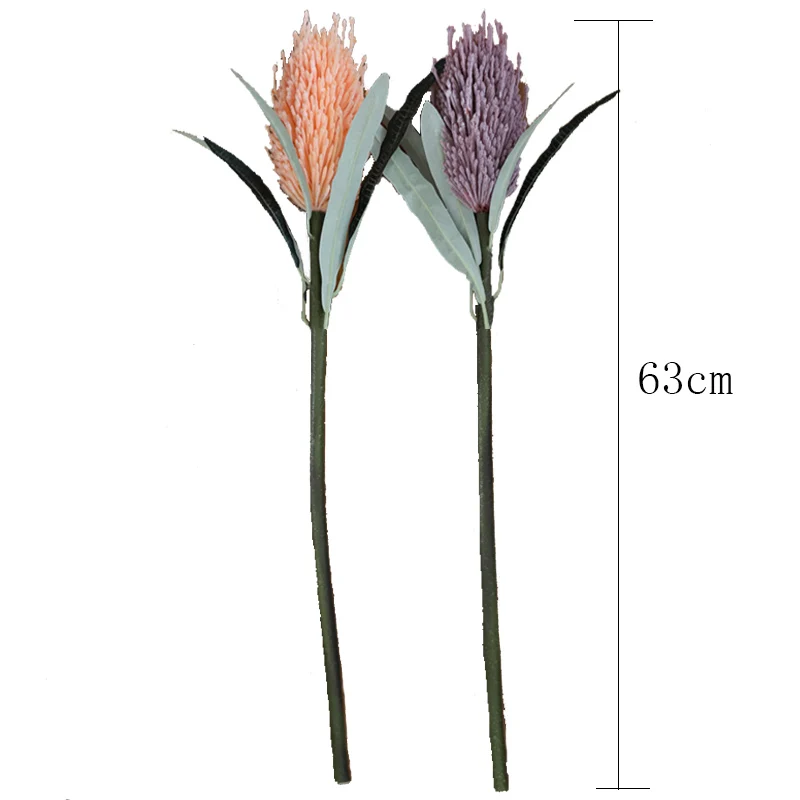 63 см длинные Искусственные цветы цикас ветка искусственная Австралия банксия дерево пластик гиацинт цветок для домашнего офиса качество украшения