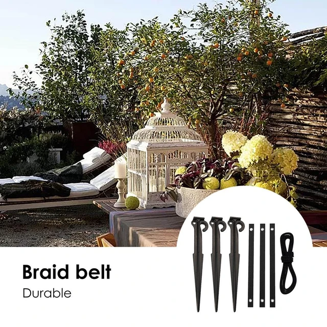 Complete Braiding Kit with Belt