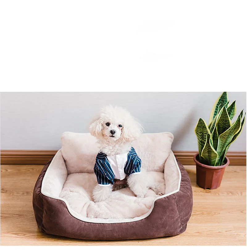 8546497251_2036273161