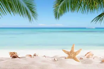 

Vinyl Custom Photography Prop Starfish Beach theme Photo Studio Background T19912-2132
