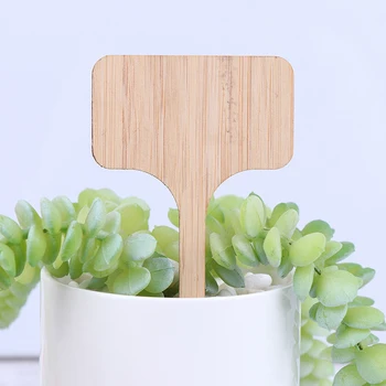 

50Pcs T-Type Bamboo Plant Labels Eco-Friendly Wooden Plant Sign Tags Garden Markers For Flowers Vegetables Tools