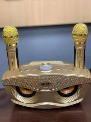 speaker with two microphones