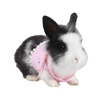 

Rabbits Hamster Vest Harness With Leash,Bunny Chest Strap Harnesses Ferret Guinea Pig Small Animals Pet Accessories